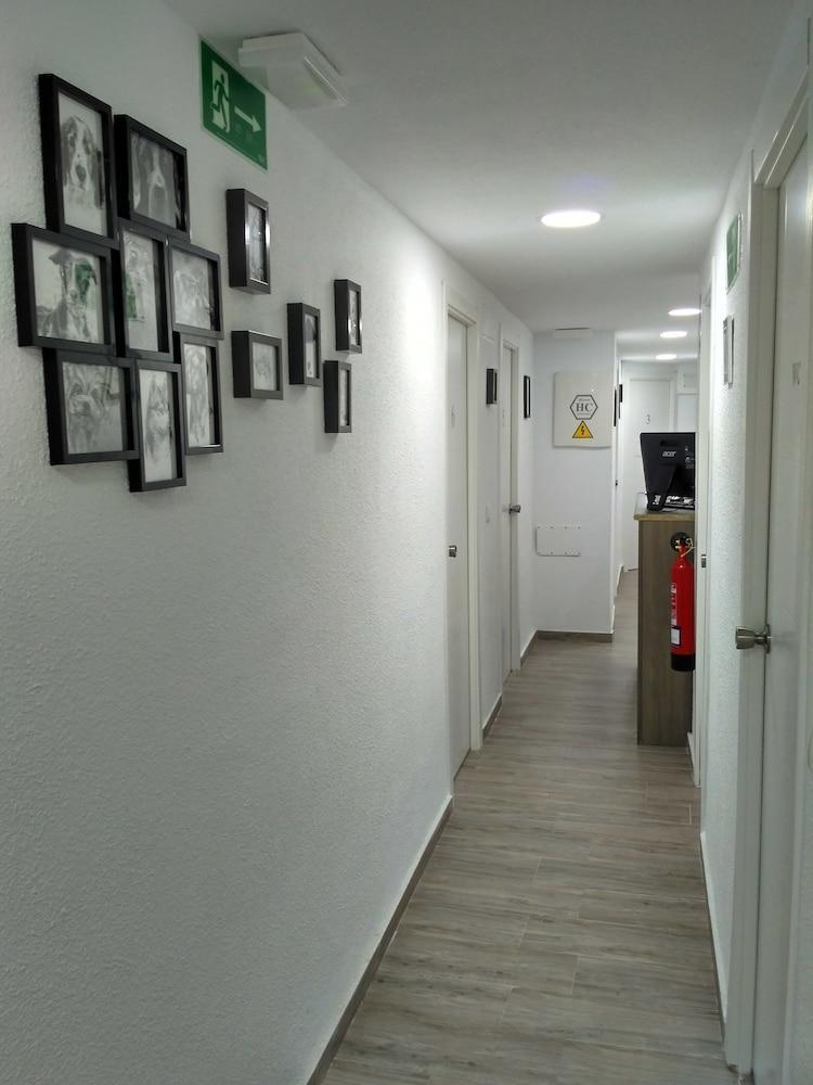 אליקאנטה Guesthouse Central מראה חיצוני תמונה